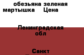 обезьяна зеленая мартышка  › Цена ­ 90 000 - Ленинградская обл., Санкт-Петербург г. Животные и растения » Другие животные   